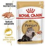 Royal Canin Persian Adult hrana umeda pisica (pate), 1 x 85 g, Royal Canin