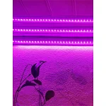 Lumina LED pentru cresterea plantelor - 2 m, Inovius