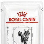 ROYAL CANIN VHN Renal Plic hrană umedă pisici, cu Pui 85g, Royal Canin Veterinary Diet