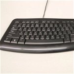Tastatura Microsoft Comfort Curve Keyboard 3000, model 1482, QWERTY, USB