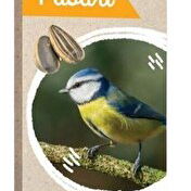 Povesti De Noapte Buna