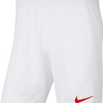 Pantaloni scurți Nike Nike Y Park III Băieți BV6865 410 BV6865 410 bleumarin M (137-147cm), Nike