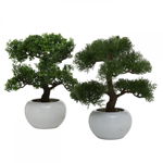 Set 2 bonsai artificiali in ghiveci pe Plastic Verde H33xL32cm Bonsai