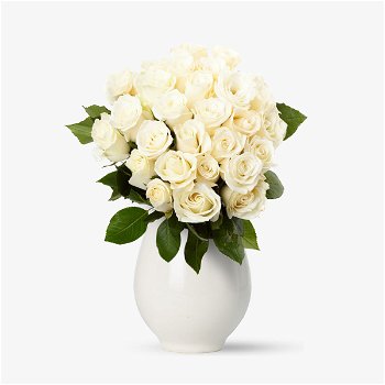 Buchet de 29 trandafiri albi - Standard, Floria