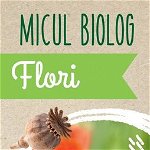 Micul biolog - Flori - Hardcover - Anita van Saan - Didactica Publishing House, 
