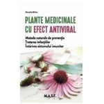 Plante medicinale cu efect antiviral. Metode naturale de preventie. Tratarea infectiilor. Intarirea sistemului imunitar, 
