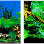 FERPLAST Decor foto pentru acvariu, cu 2 feţe, Verde, Ferplast