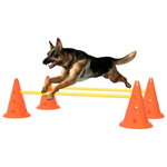 vidaXL Set de obstacole pentru câini, portocaliu și galben, vidaXL