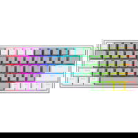 Tastatura mecanica gaming Redragon Fizz TKL K617 60%