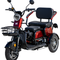 Triciclu Electric Evotools TRP1000 – putere 1000W, 50 km autonomie, baterie 60 V, viteza maxima de 25 km/h, conform reglementarilor UE, fara permis, EVOTOOLS Triciclu Electric Evotools TRP1000 – putere 1000W, 50 km autonomie, baterie 60 V, viteza maxima de 25 km/h, conform reglementarilor UE, fara permis, EVOTOOLS