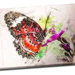 Tablou din aluminiu striat Butterfly in My Notebook