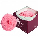 Trandafir ROZ DESCHIS Natural Criogenat Premium cu diametru 10cm + cutie cadou, 