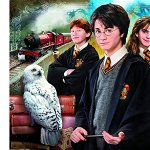 Puzzle Clementoni - Harry Potter in Carry Case, 1.000 piese (61882), Clementoni