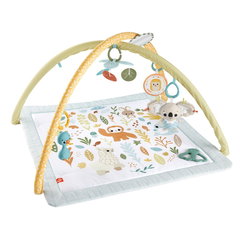 Fisher Price Salteluta De Activitati, Fisher Price