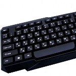 TITANUM TK108 MEMPHIS - Tastatura fără fir + Mouse USB | 2,4 GHz, Esperanza
