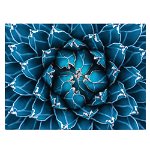 Tablou cu cactus agave detaliu albastru 1380 - Material produs:: Poster pe hartie FARA RAMA, Dimensiunea:: 80x120 cm, 
