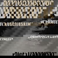 Siguranța publică în poviat Kościerzyna - descriere și anticipare, FNCE