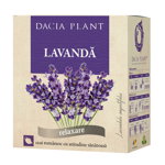Ceai de Lavanda, Dacia Plant
