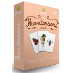 Carti de joc Montessori. Insecte din Romania, 