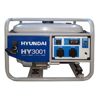 Generator Curent Electric HYUNDAI HY3001, Monofazic, 2,8 kW, 230V Argintiu