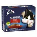 PURINA Felix Fantastic, 4 arome (Pui, Vita, Iepure, Miel), pachet mixt, plic hrană umedă pisici, (în aspic), 85g x 12, Felix
