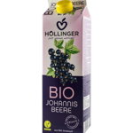 Nectar bio de coacaze negre Hollinger 1l