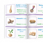 Fructe si legume - Invat limba engleza