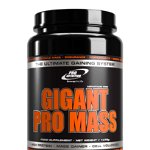 Gigant Pro Mass