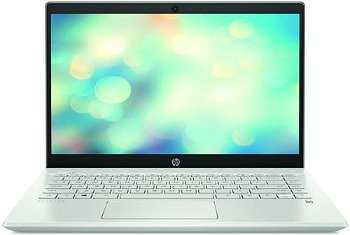Notebook / Laptop HP 14'' Pavilion 14-ce3036nq, FHD, Procesor Intel® Core™ i5-1035G1 (6M Cache, up to 3.60 GHz), 8GB DDR4, 256GB SSD, GeForce MX130 2GB, Free DOS, Mineral Silver