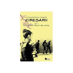Drepturi de proprietate industrială - Paperback brosat - Andreea Livădariu - Hamangiu,