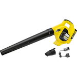 LBL 2 Battery Set, Karcher