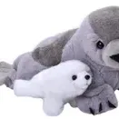 Mama si Puiul - Foca
