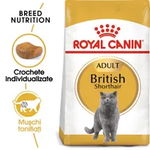 Hrana Uscata Pisici, ROYAL CANIN, British Shorthair Adult, 2kg, Royal Canin