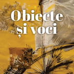 Obiecte si voci - Alexandru Sfarlea, Corsar