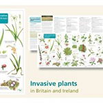 Guide to the non-native invasive plants of Britain and Ireland