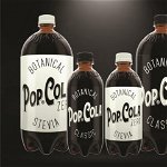 Pop Cola Classic- Suc Carbogazos Merlin's 0.5l (0.5 l), Bacania Tei
