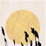 Felicitare - Moonstone - Sun Field, Bej, Standard, Hartie, 120 x 170 mm