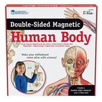 Learning Resources Human Body - Double Sided Magnetic