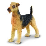 Terrierul Airedale - Collecta, Collecta