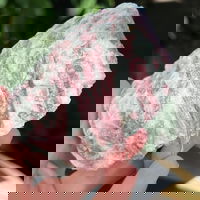 Rubelit/ turmalina roz A piatra bruta din Brazilia m2, druzy.ro - Cristale, Home Deco