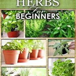 Growing Herbs for Beginners: How to Grow Low Cost Indoor and Outdoor Herbs in Containers