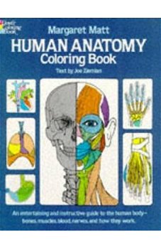 Human Anatomy, Margaret Matt