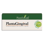 Plantagingival, 10ML Plantextrakt