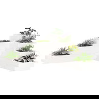 Jardiniera gradina 4 niveluri, VidaXL