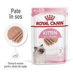Royal Canin Kitten hrană umedă pisică (pate), 12 x 85g, Royal Canin