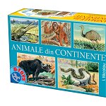Joc Animale din continente - Joc de cultură generală, D-Toys