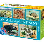 Joc Animale din continente - Joc de cultură generală, D-Toys