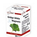 Ginkgo biloba & Magneziu, 30 capsule, FARMACLASS
