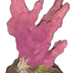 Decor Acvariu coral, 10cm, 407C, Happet