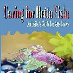 Caring for Betta Fish